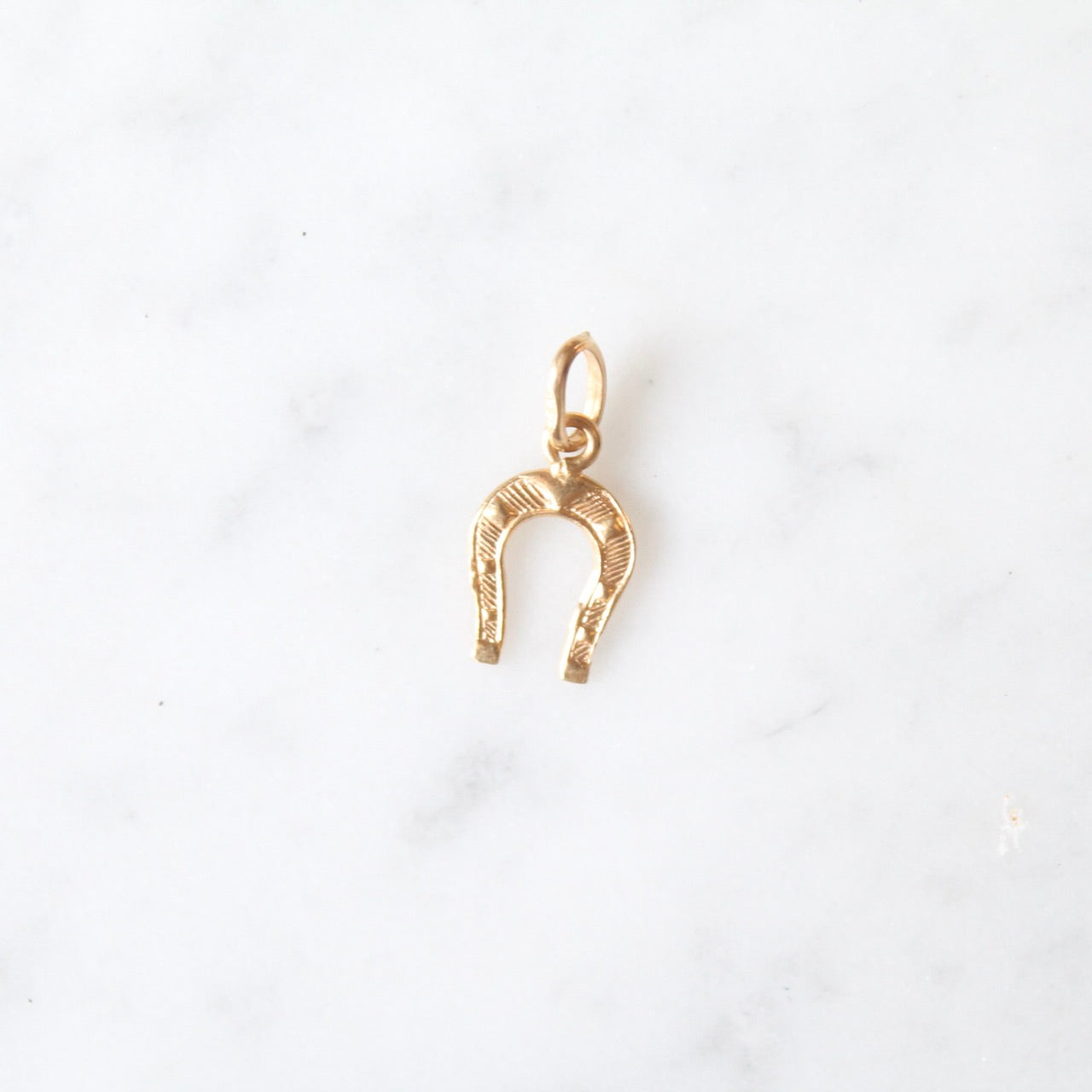 Lucky Horseshoe Charm