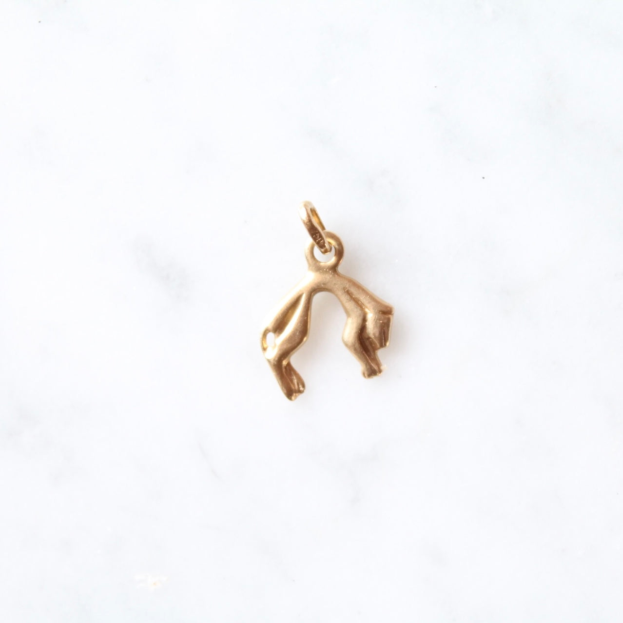 Panther Charm