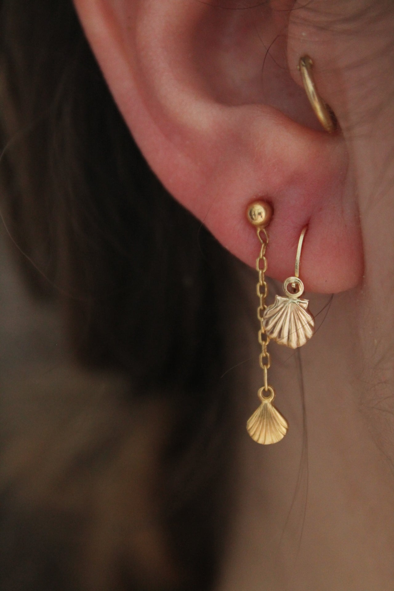 Shell Earrings