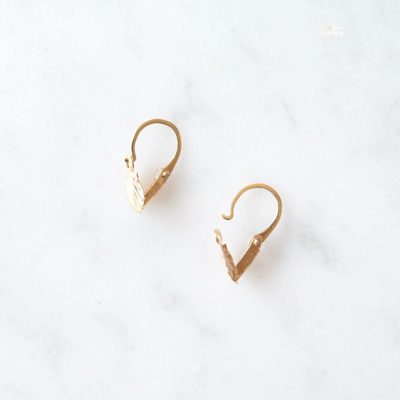 Shell Earrings
