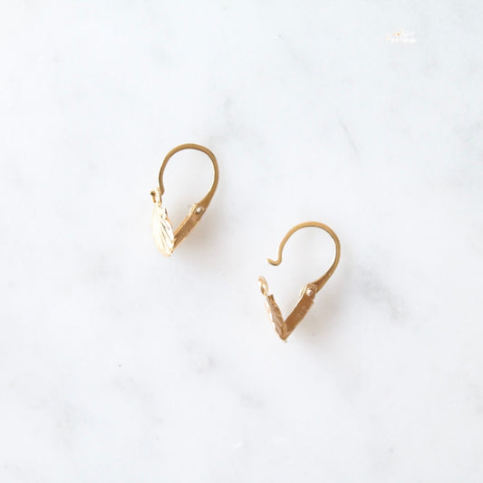 Shell Earrings