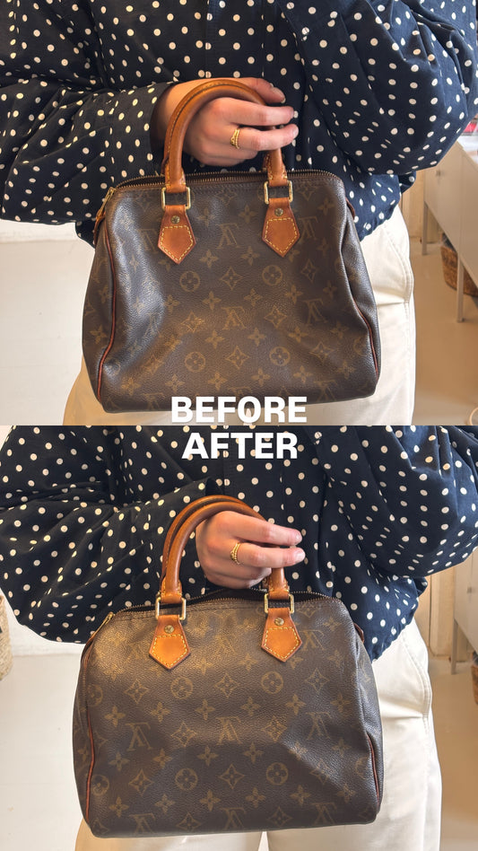 Louis Vuitton Speedy Organizer