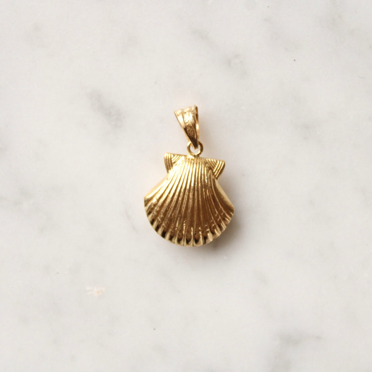 Detailed Shell Charm