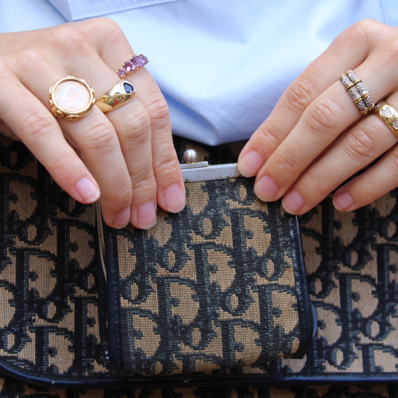 Christian Dior Trotter Canvas Wallet