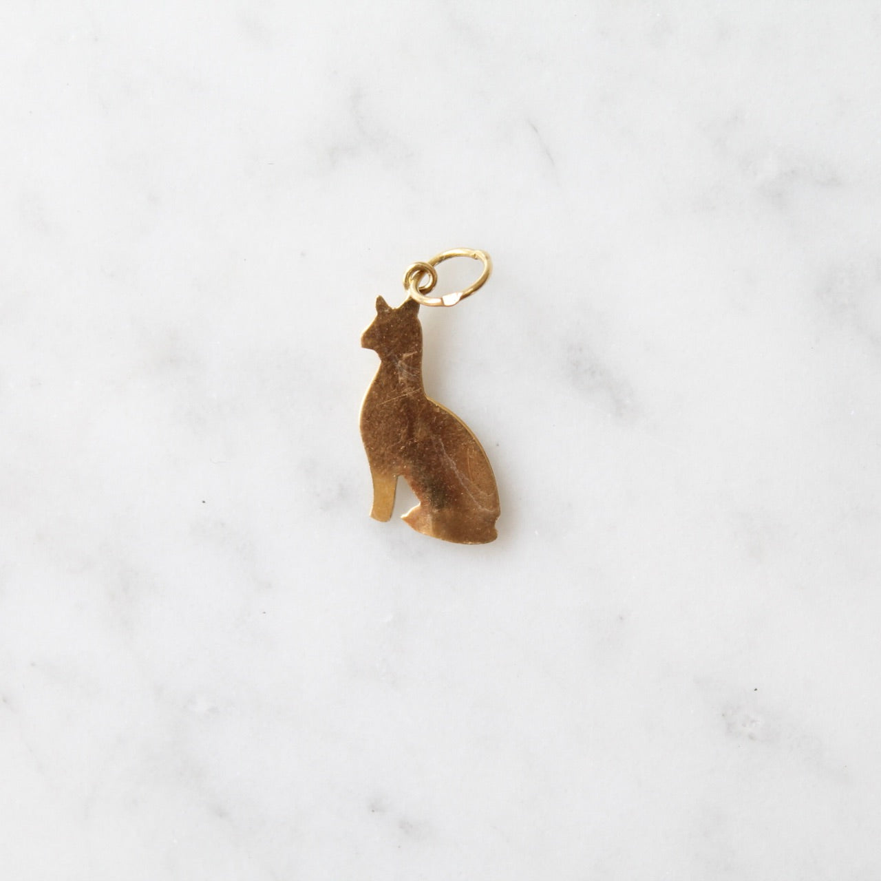 Elegant Cat Charm