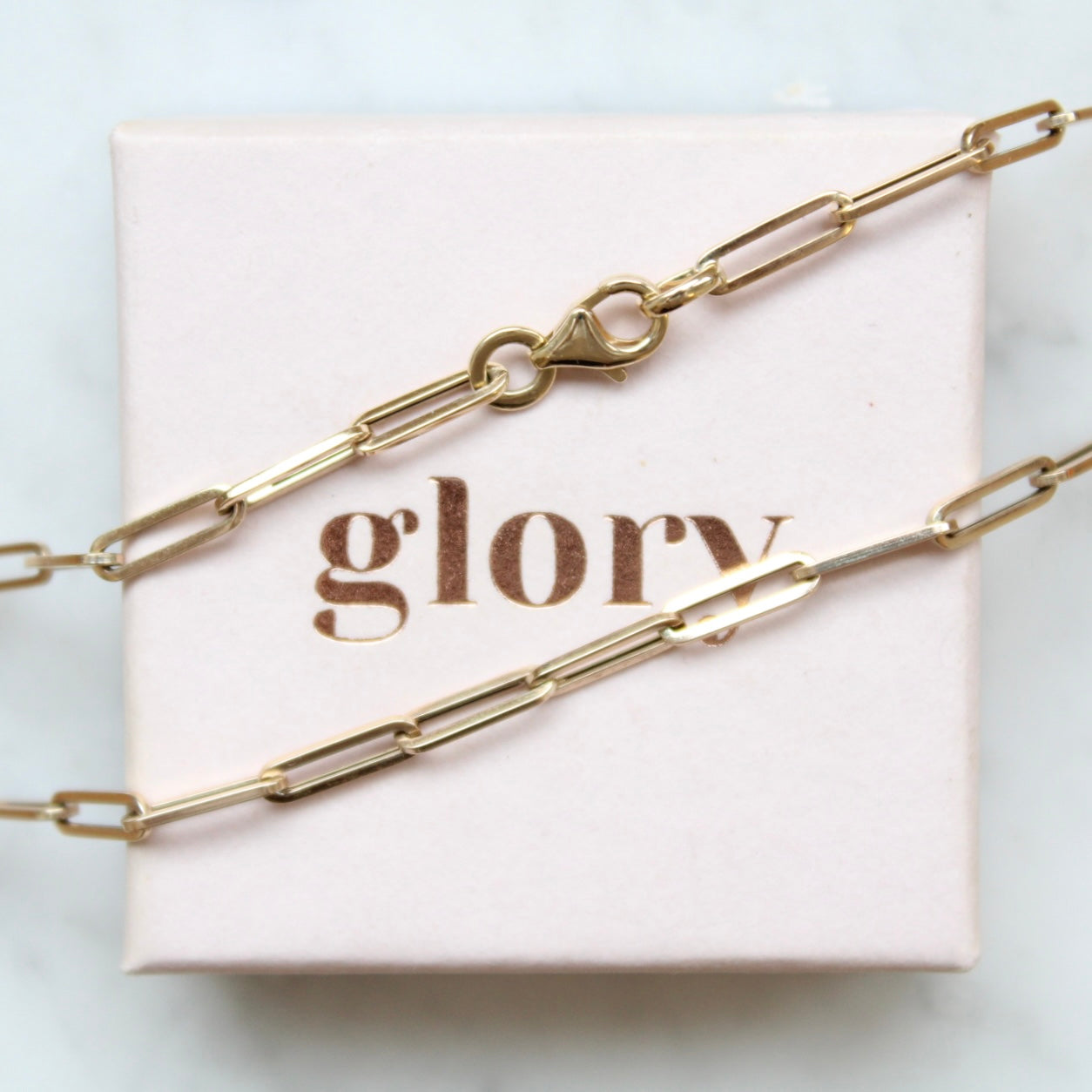 Closed Forever/Paperclip Necklace