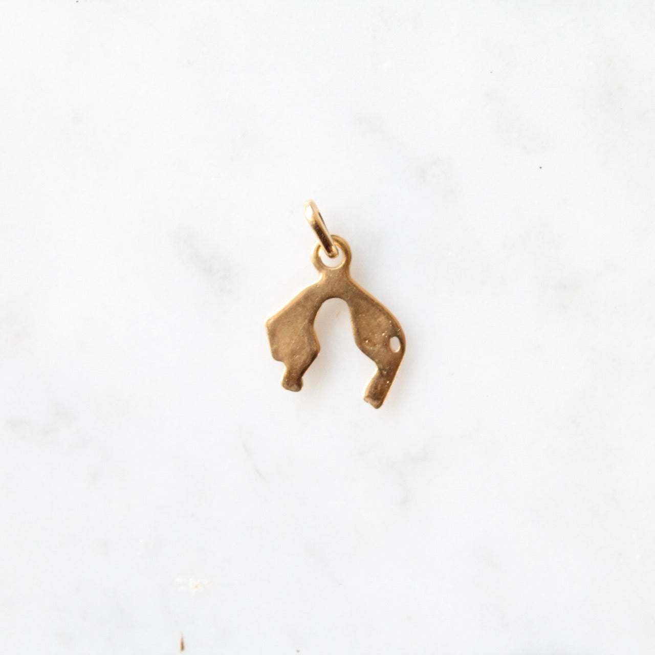 Panther Charm