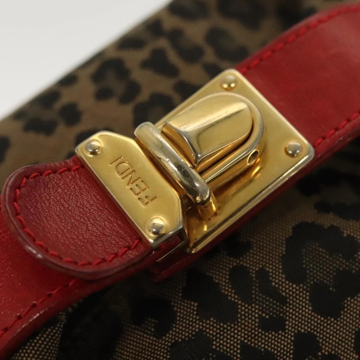 Fendi Panther Pouch