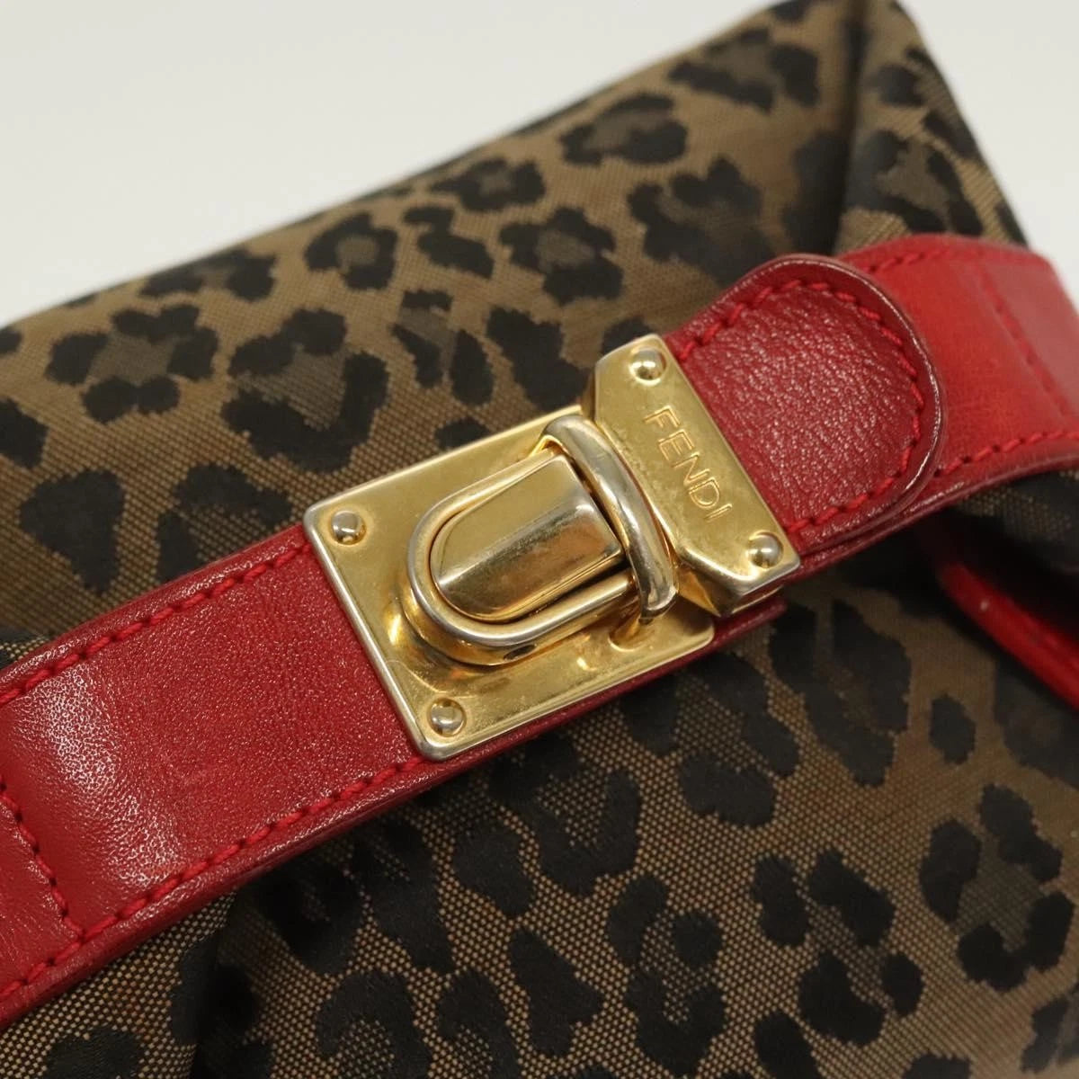 Fendi Panther Pouch