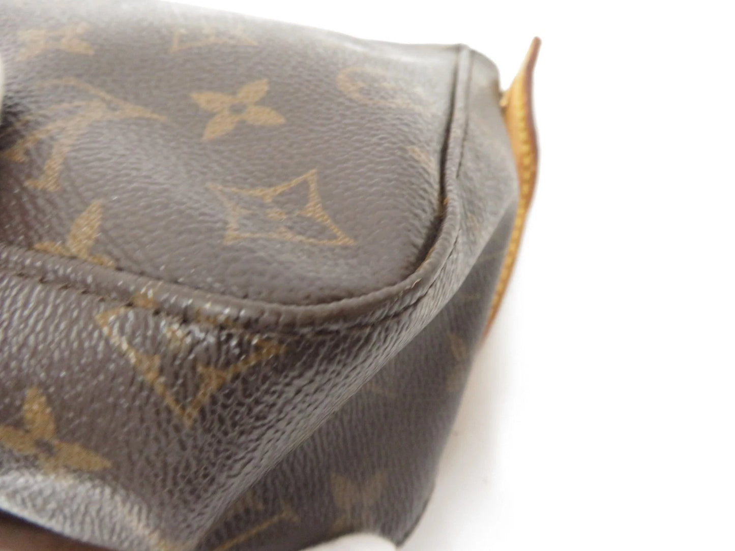 Louis Vuitton Mini Looping Shoulder Bag