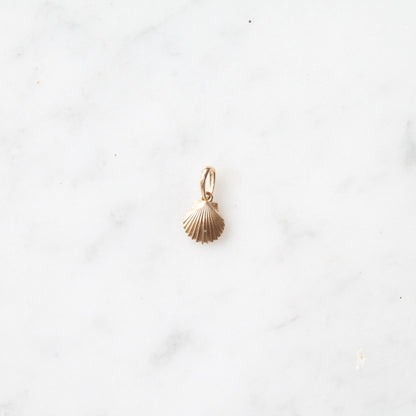 Tiny Shell Charm