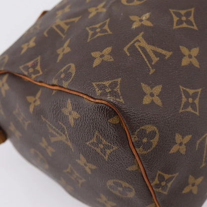Louis Vuitton Speedy 25