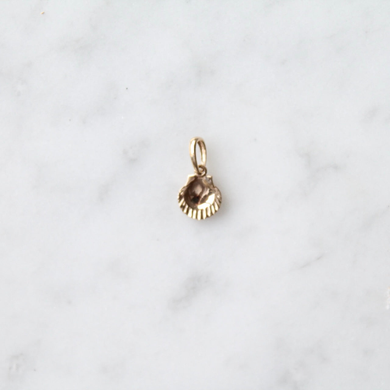 Tiny Shell Charm