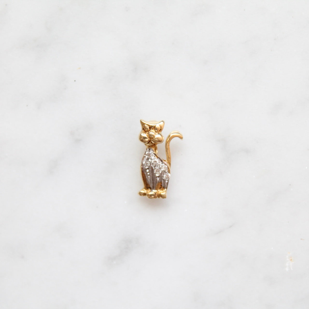 Cat Charm