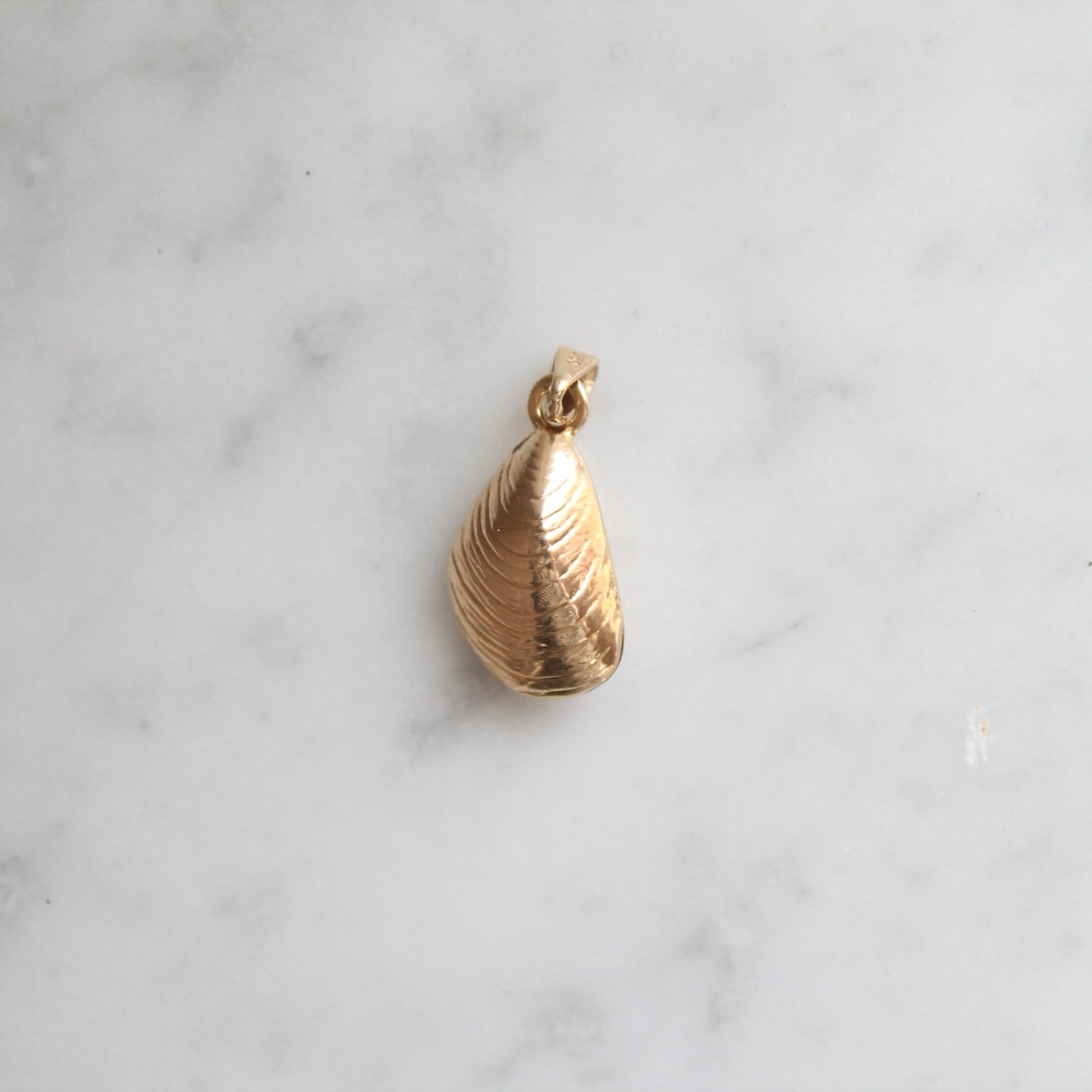 Mussel Shell Charm