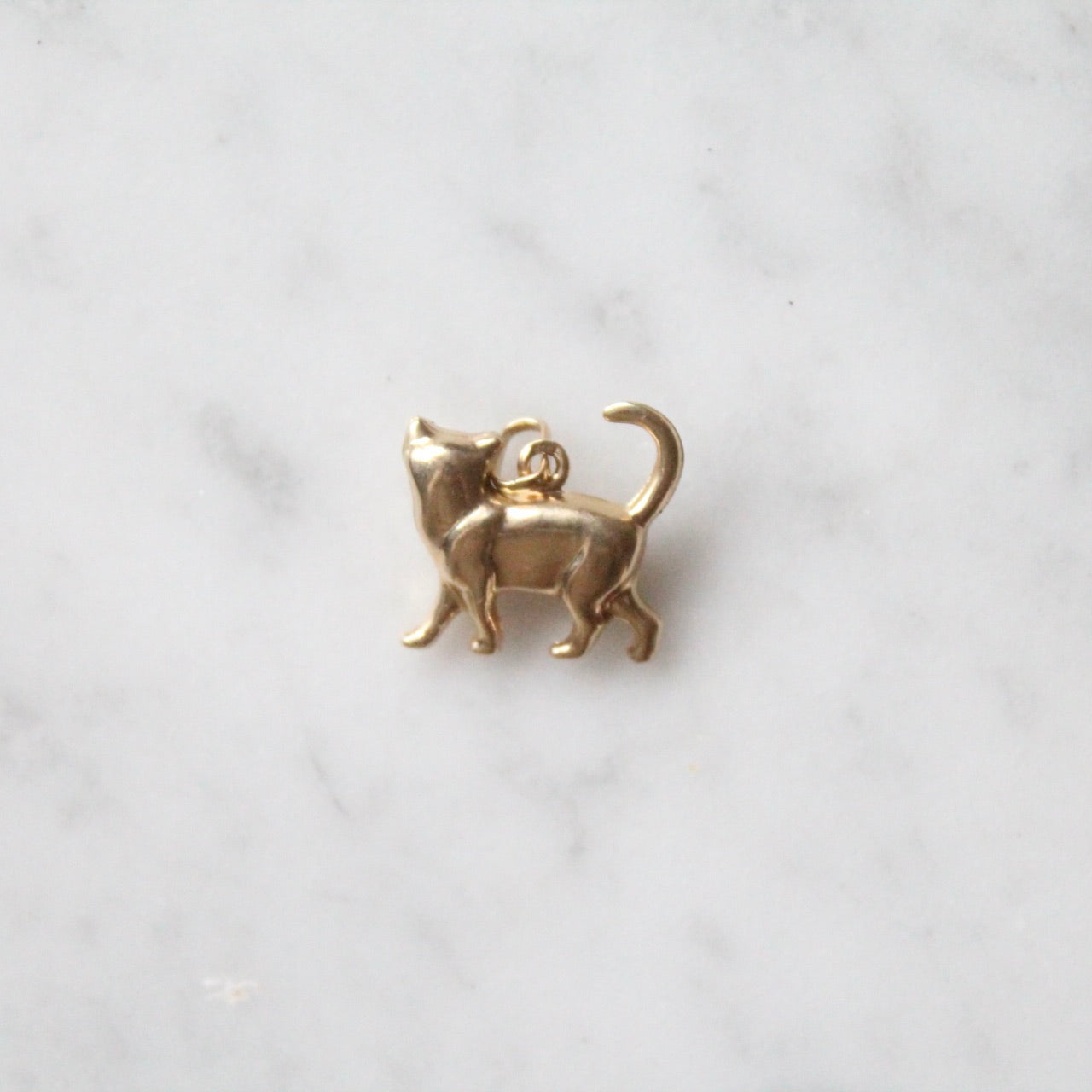 Kitty Charm