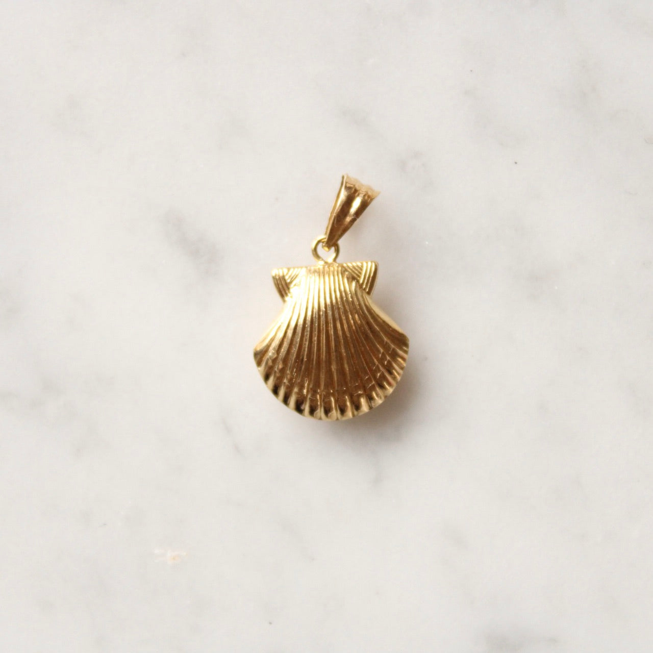 Detailed Shell Charm