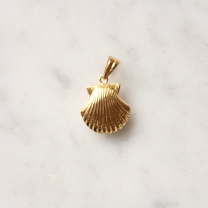 Detailed Shell Charm