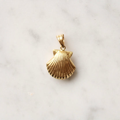 Detailed Shell Charm