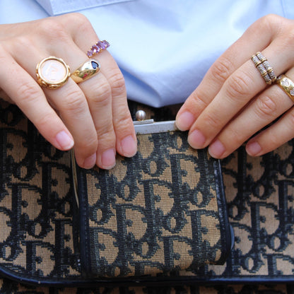 Christian Dior Trotter Canvas Wallet