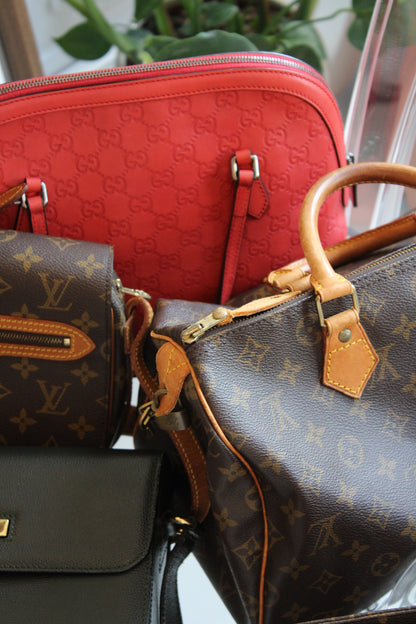 Louis Vuitton Speedy 30