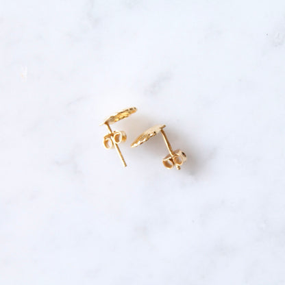 Shell Stud Earrings