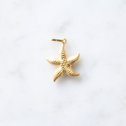 Starfish Charm