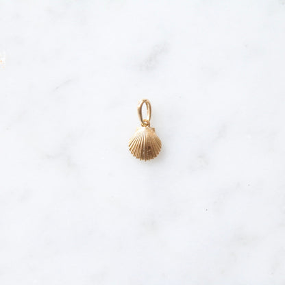 Tiny Shell Charm