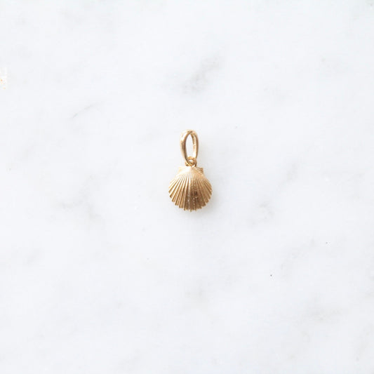 Tiny Shell Charm