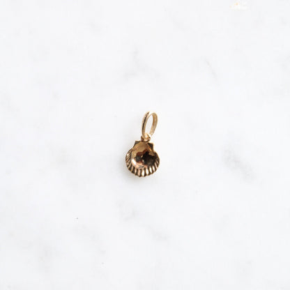 Tiny Shell Charm