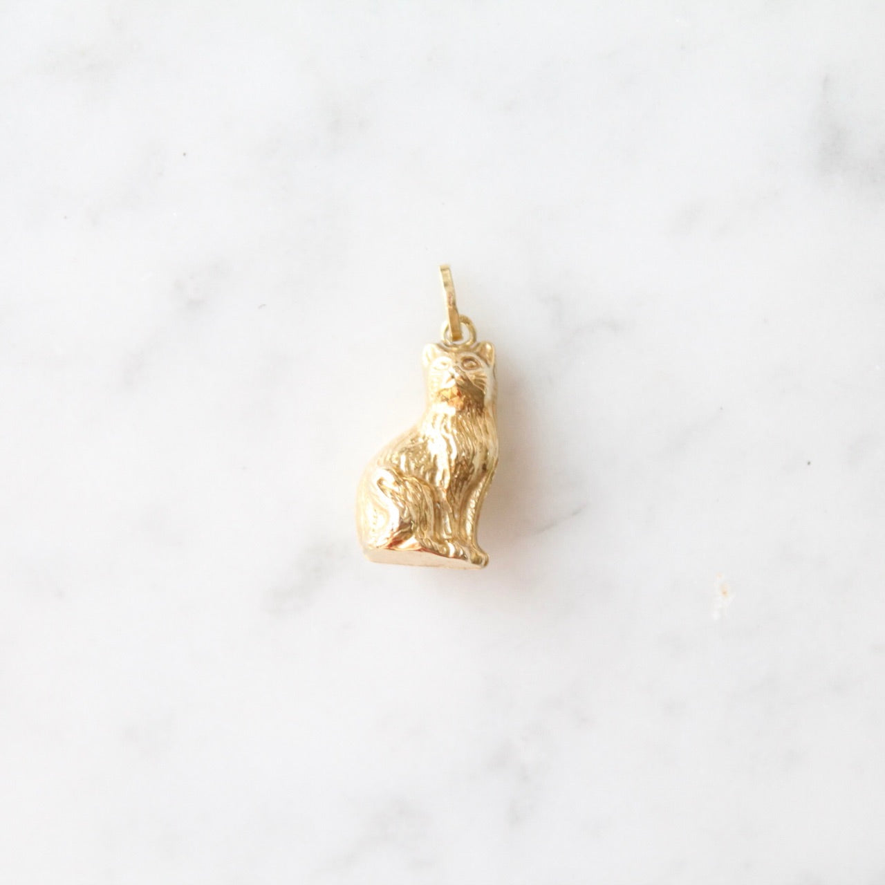Detailed Cat Charm