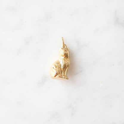 Detailed Cat Charm
