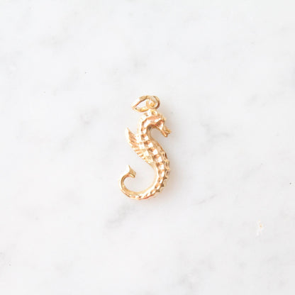 Seahorse Charm