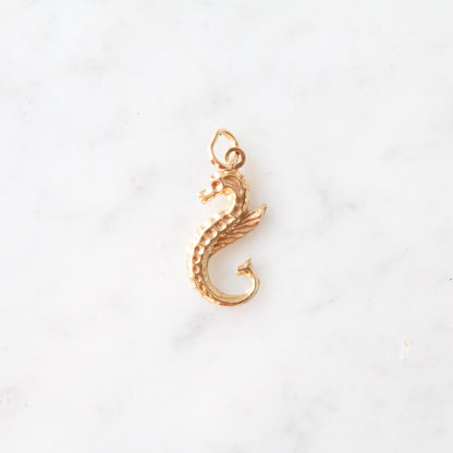 Seahorse Charm