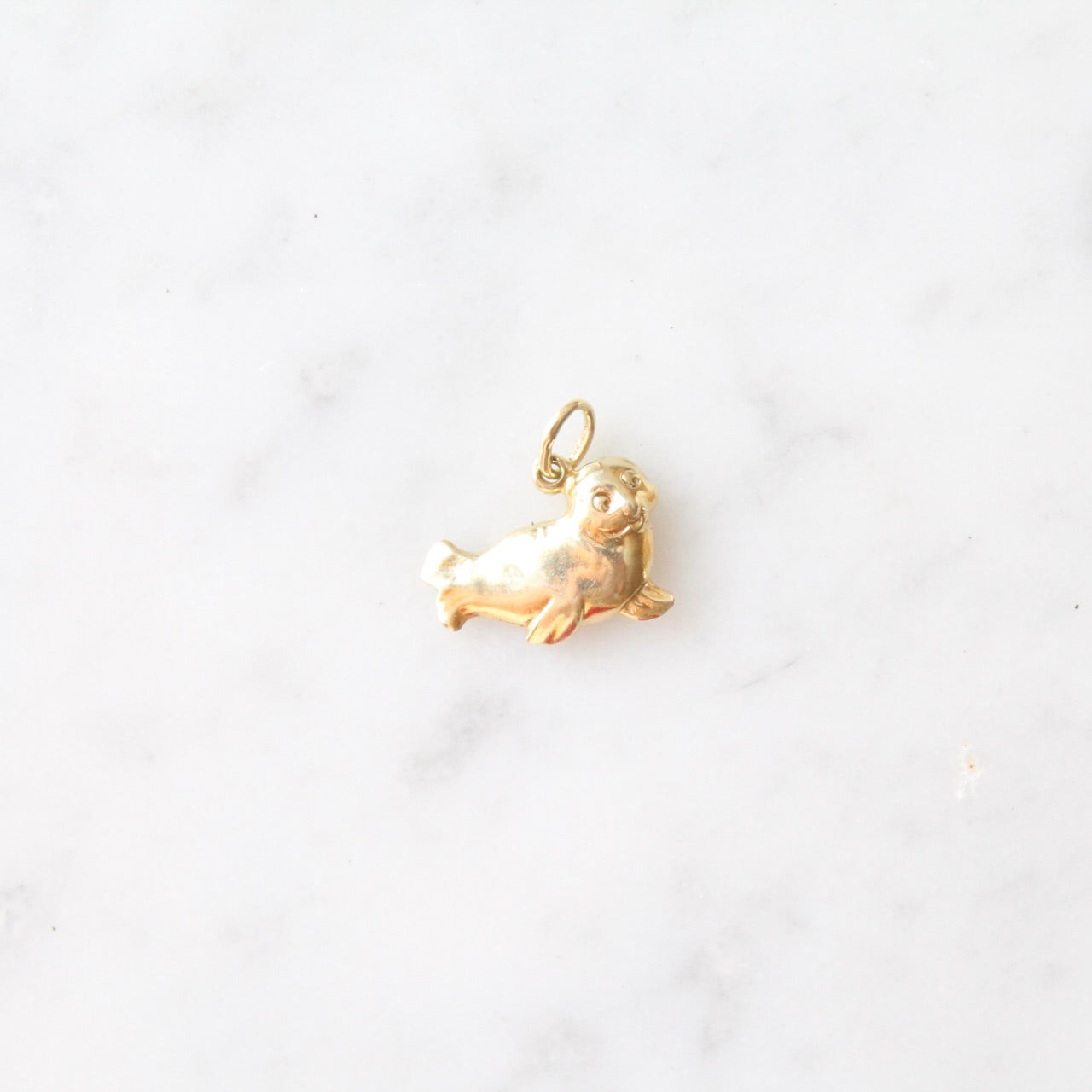 Seal Charm