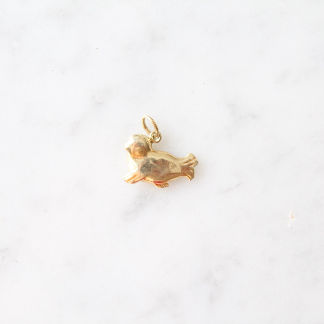 Seal Charm