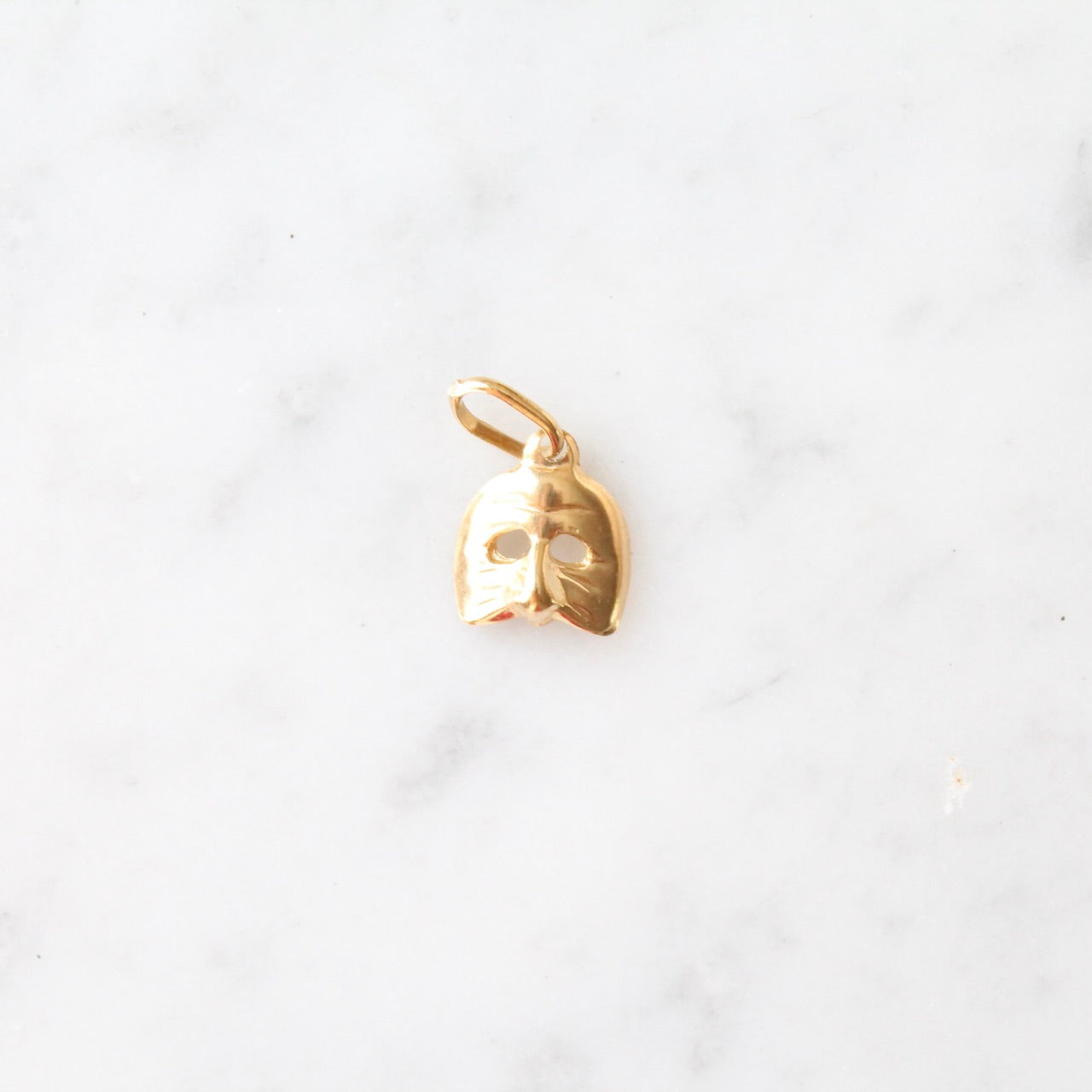 Mask Charm