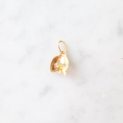 Mask Charm
