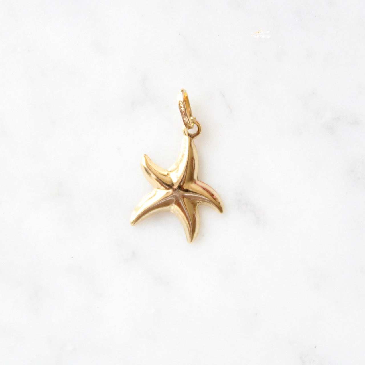 Starfish Charm