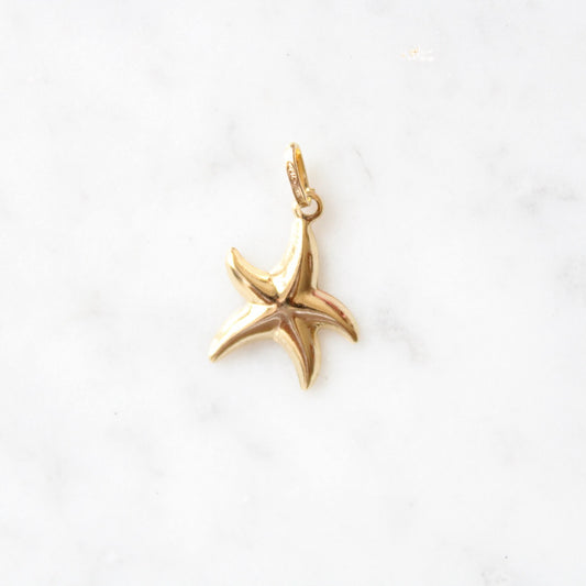 Starfish Charm