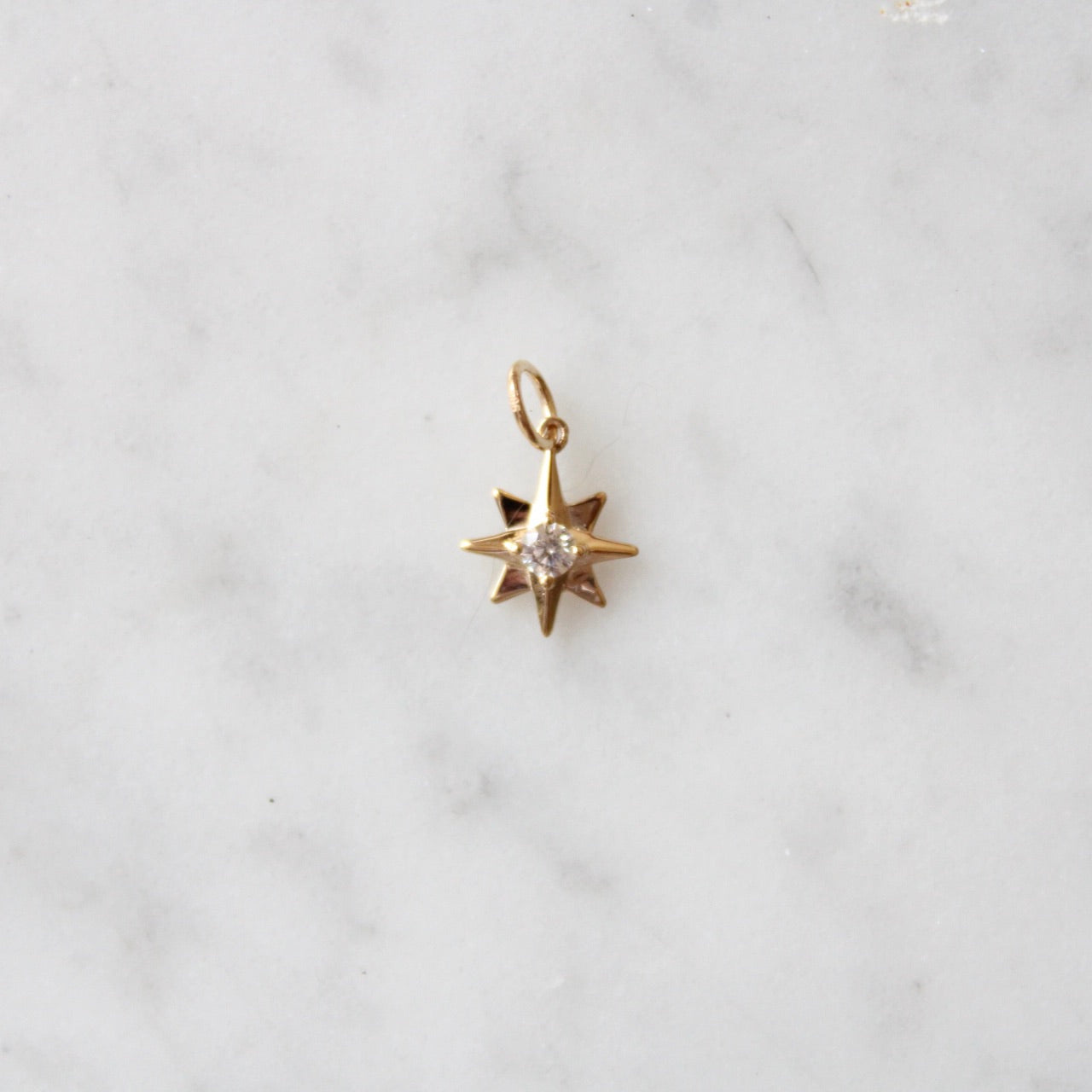 Tiny Polestar Charm