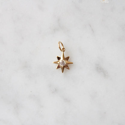 Tiny Polestar Charm