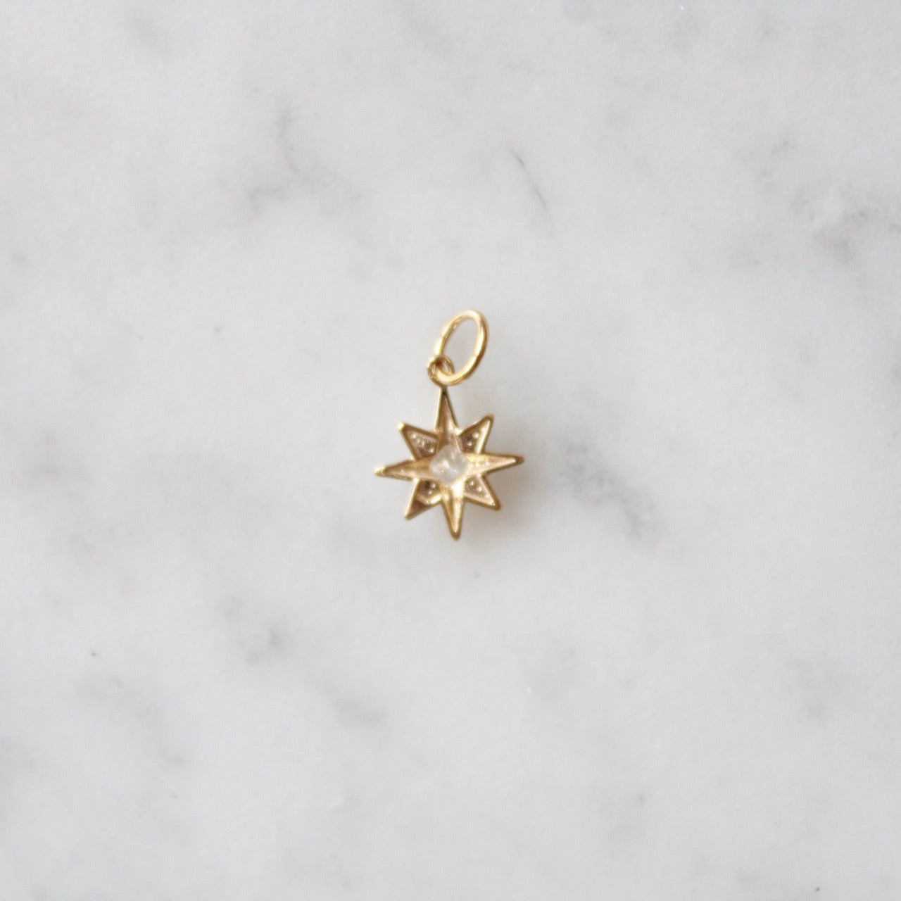 Tiny Polestar Charm