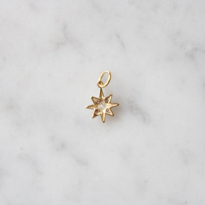 Tiny Polestar Charm
