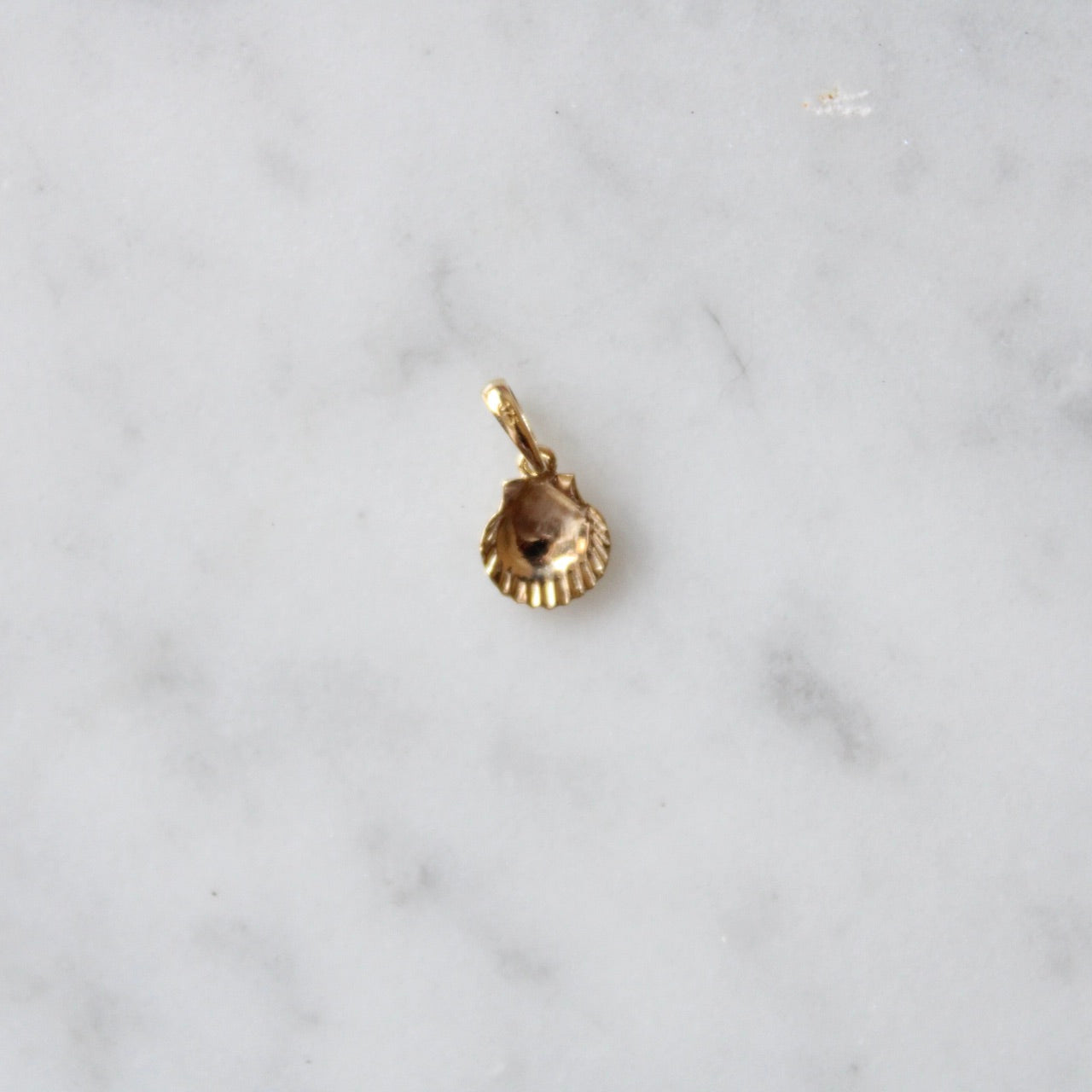 Tiny Shell Charm