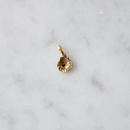 Tiny Shell Charm