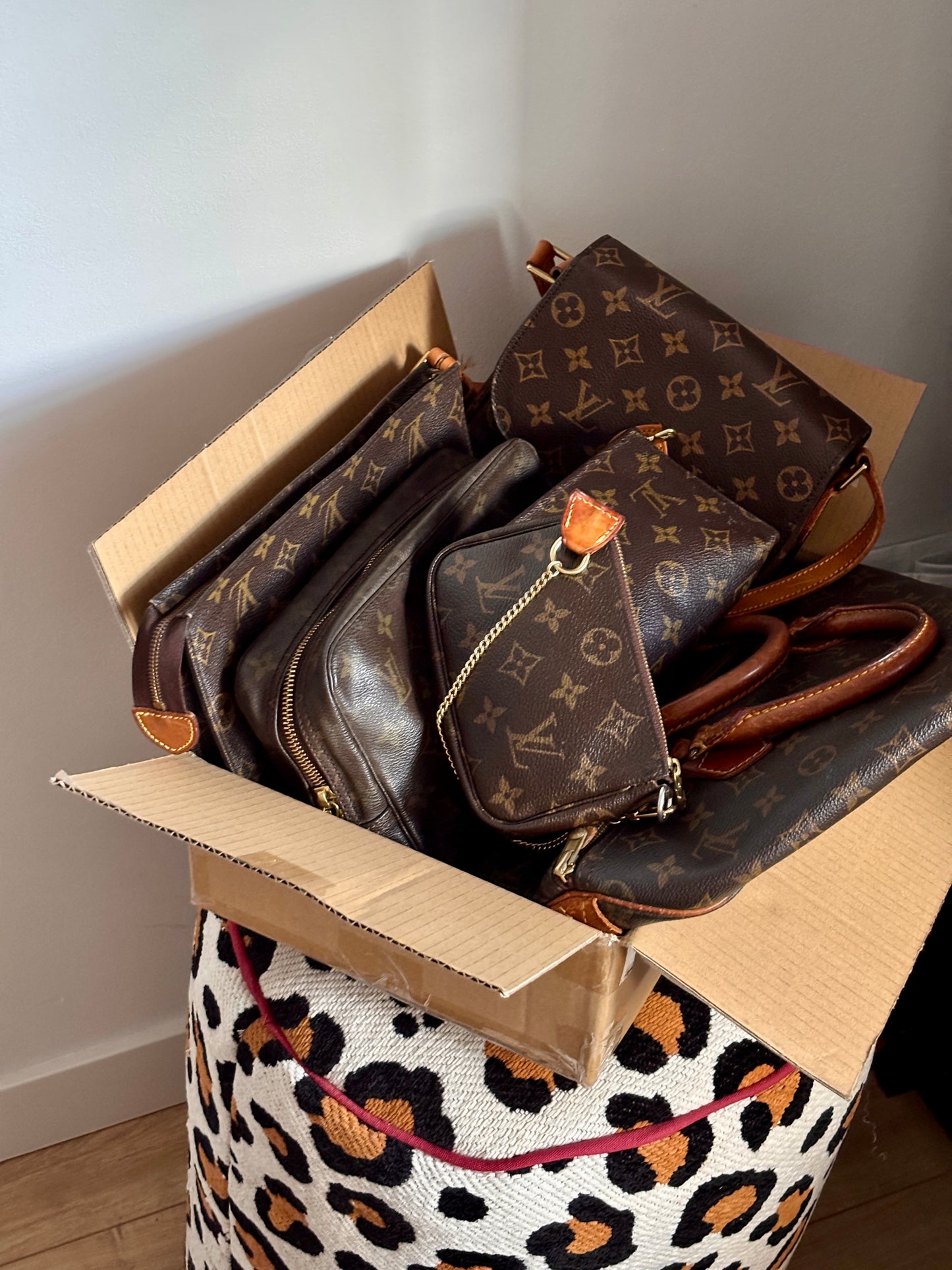 Louis Vuitton Mini Pochette Accessoires