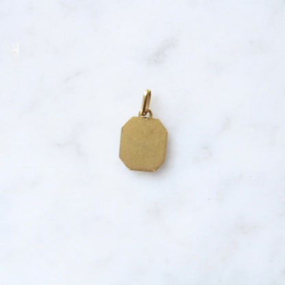 Ruby & Diamond Augis Pendant