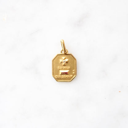 Ruby & Diamond Augis Pendant