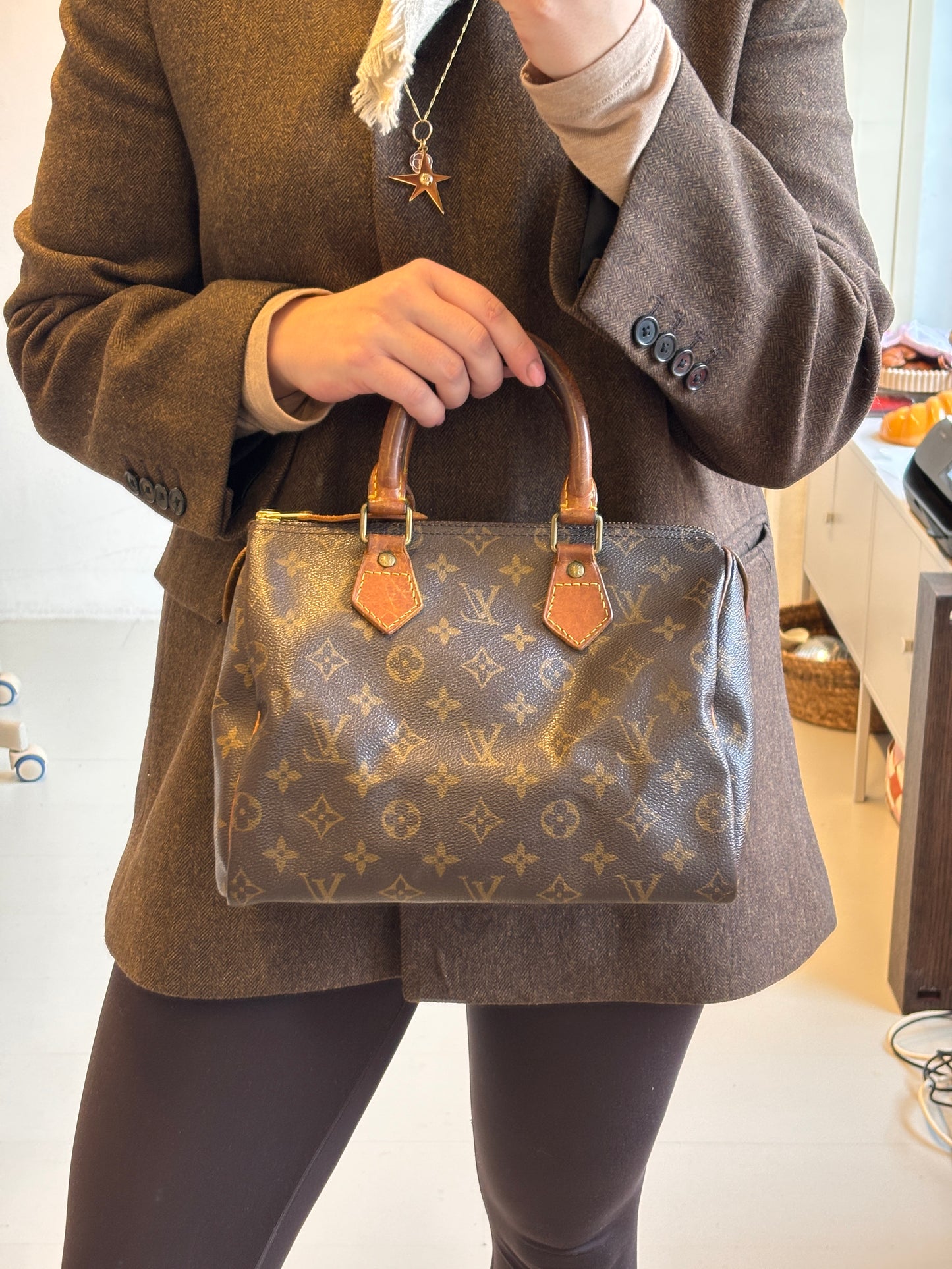 Louis Vuitton Speedy 25